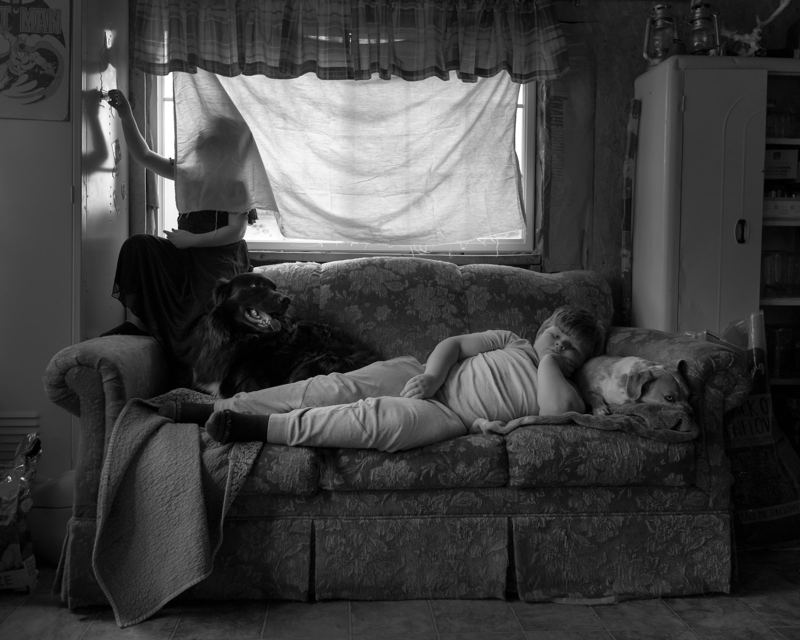 Dormant Season by Erinn Springer 